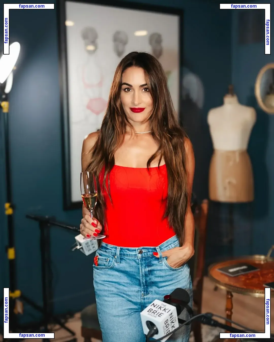 The Bella Twins: nude photo #0413 from OnlyFans