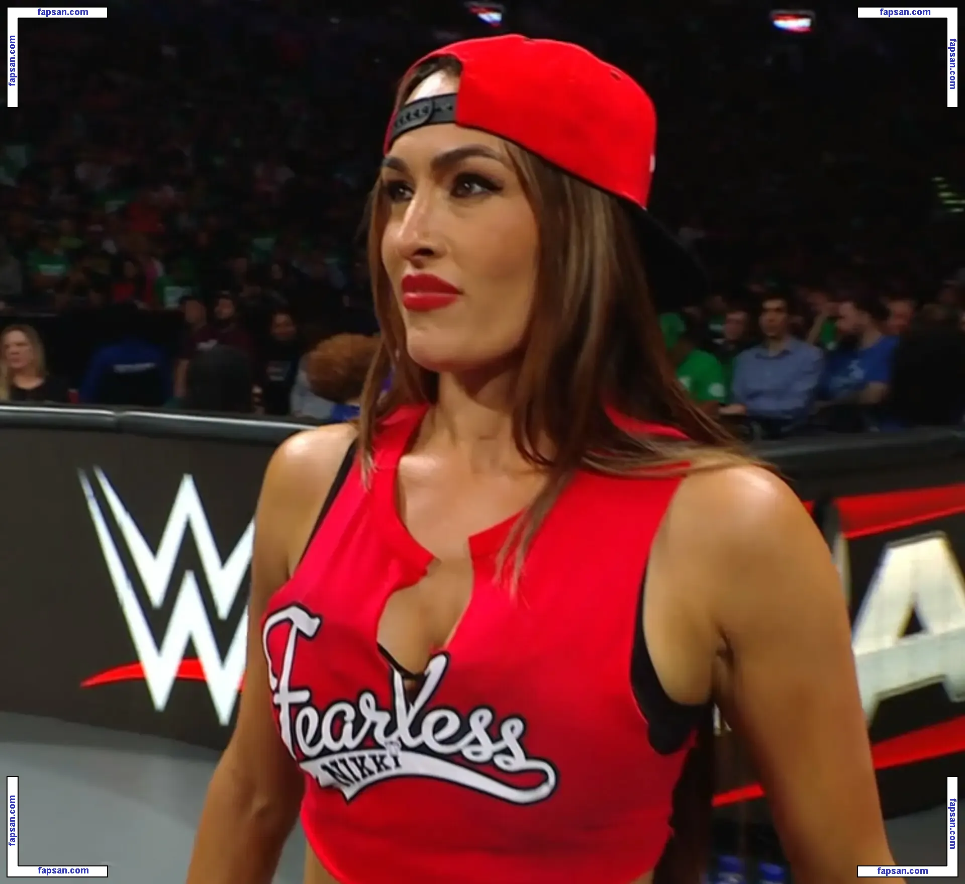 The Bella Twins: голая фото #0428 с Онлифанс