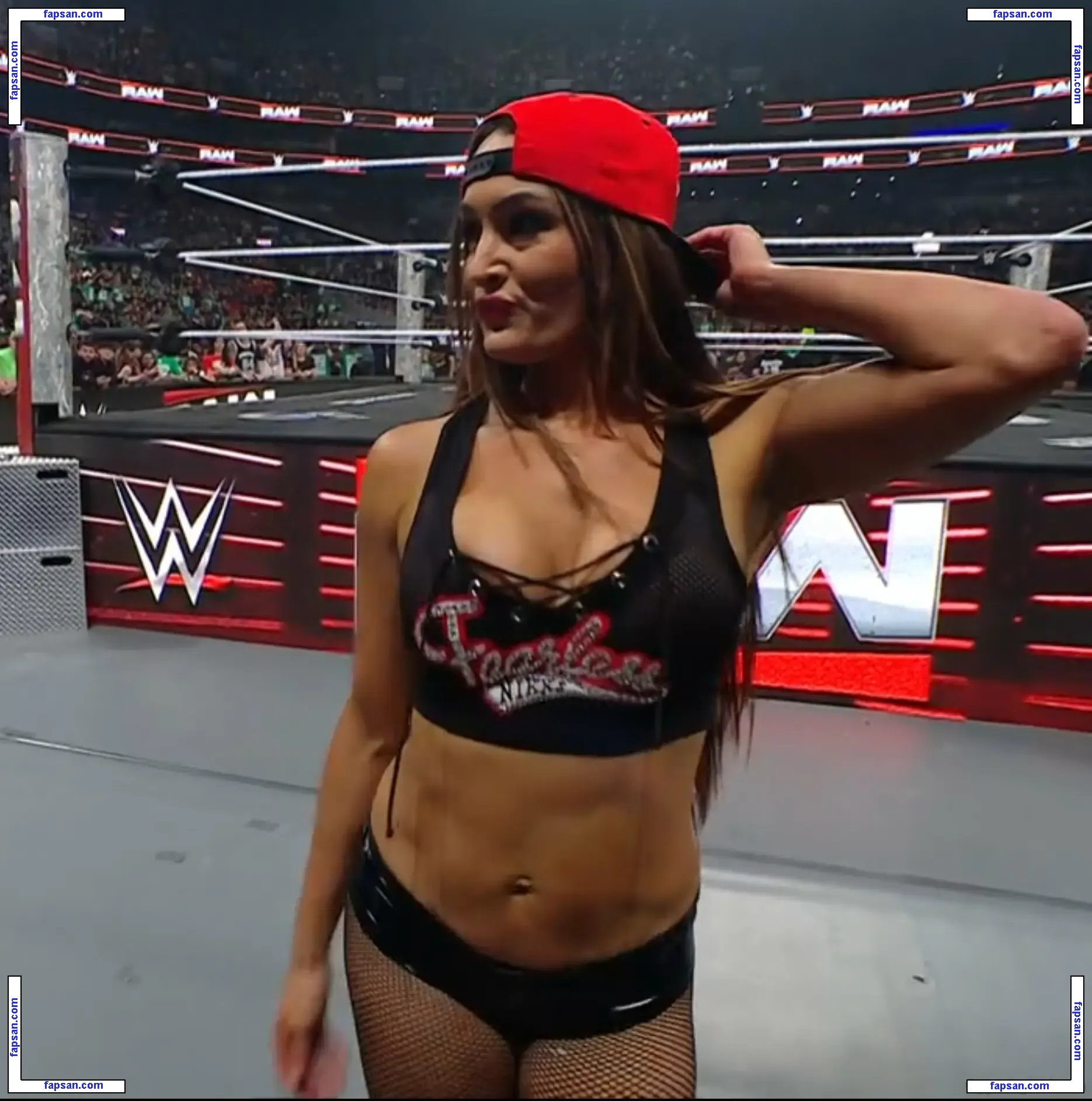 The Bella Twins: голая фото #0430 с Онлифанс