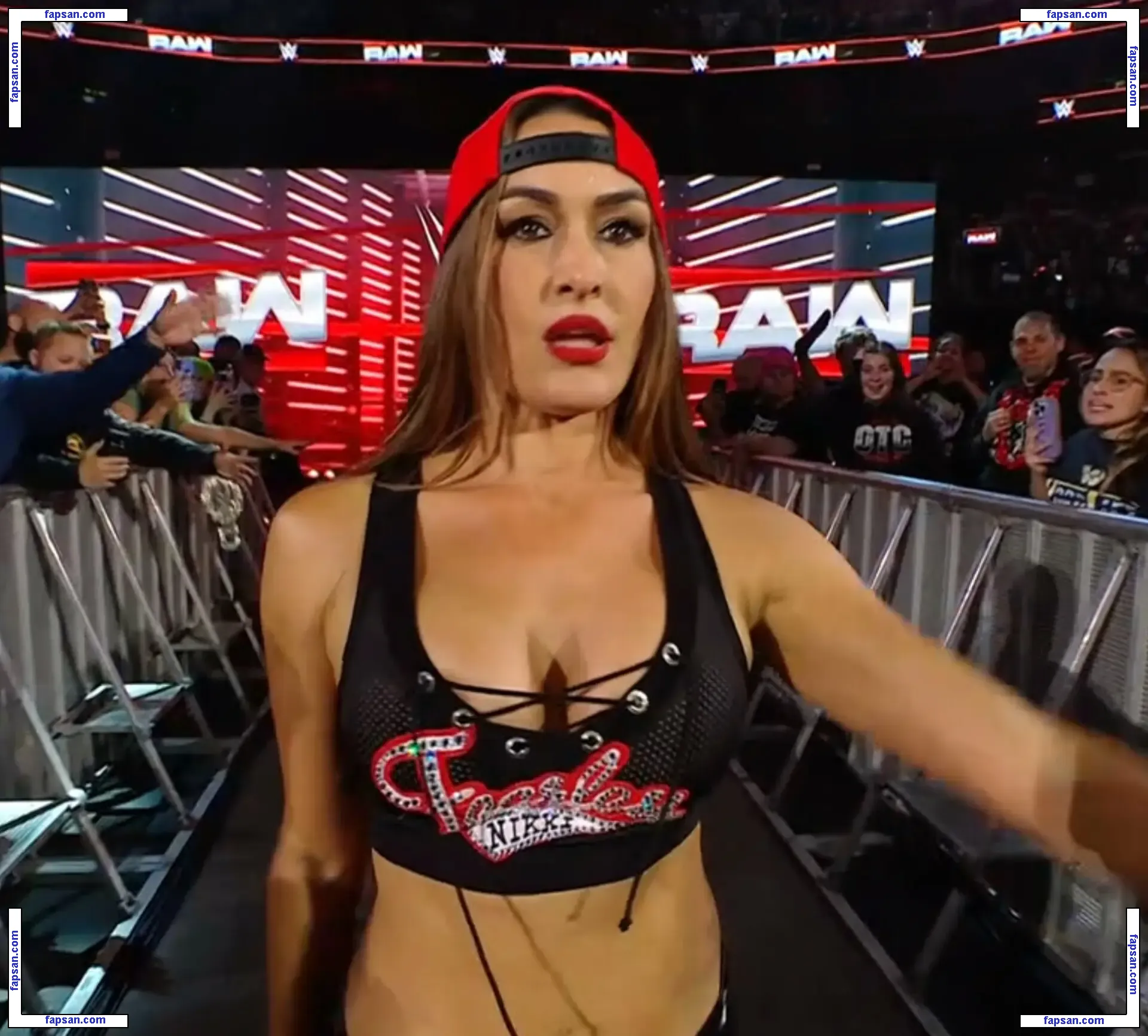 The Bella Twins: голая фото #0431 с Онлифанс