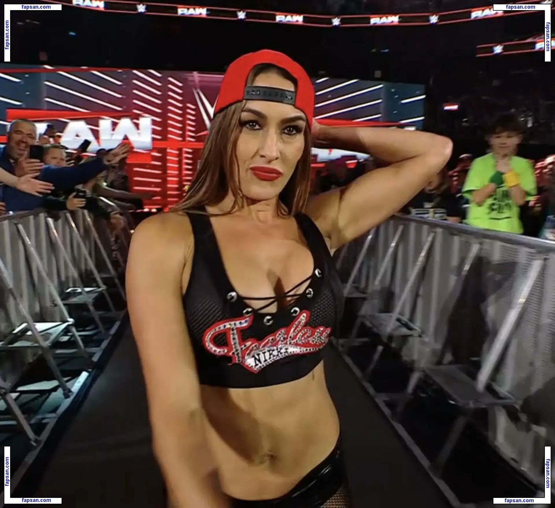 The Bella Twins: голая фото #0432 с Онлифанс