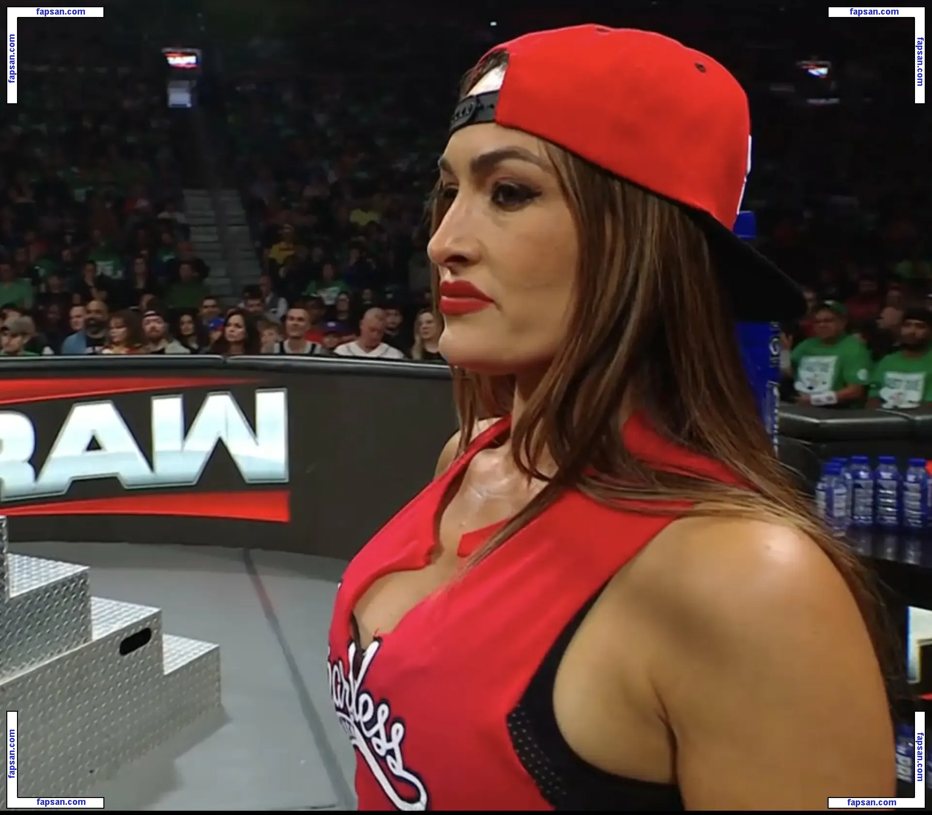 The Bella Twins: голая фото #0433 с Онлифанс