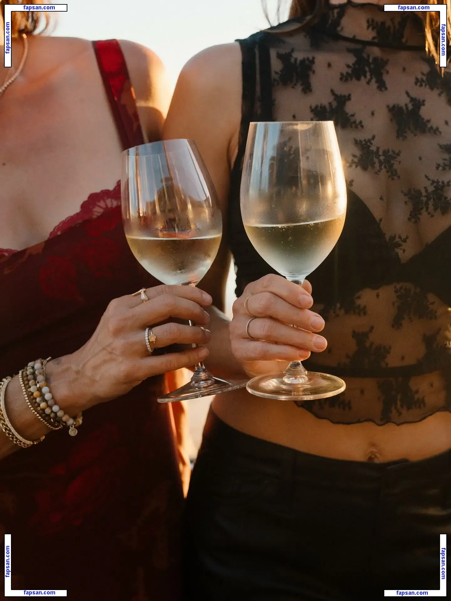 The Bella Twins: nude photo #0434 from OnlyFans