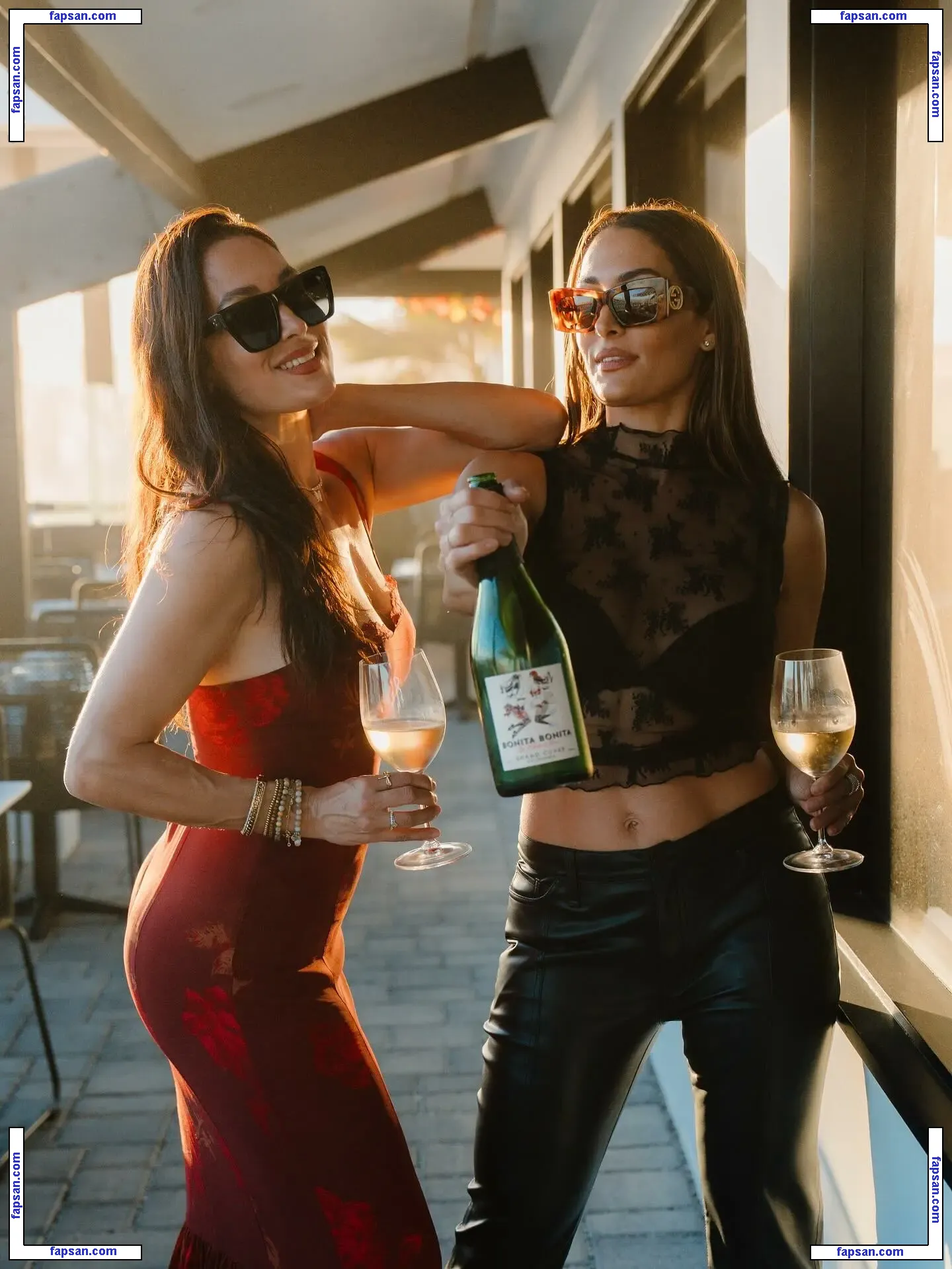 The Bella Twins: nude photo #0435 from OnlyFans