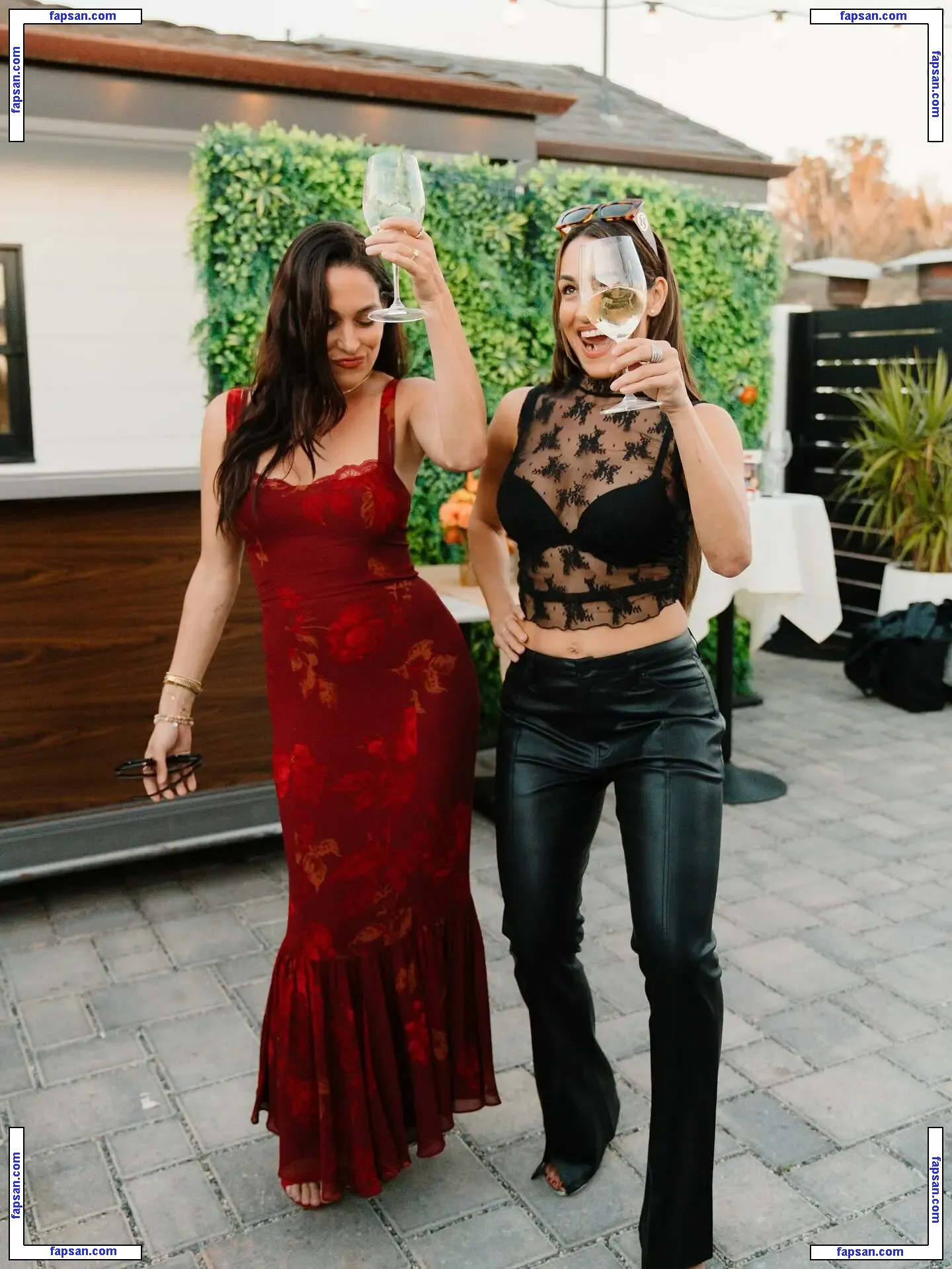 The Bella Twins: nude photo #0436 from OnlyFans