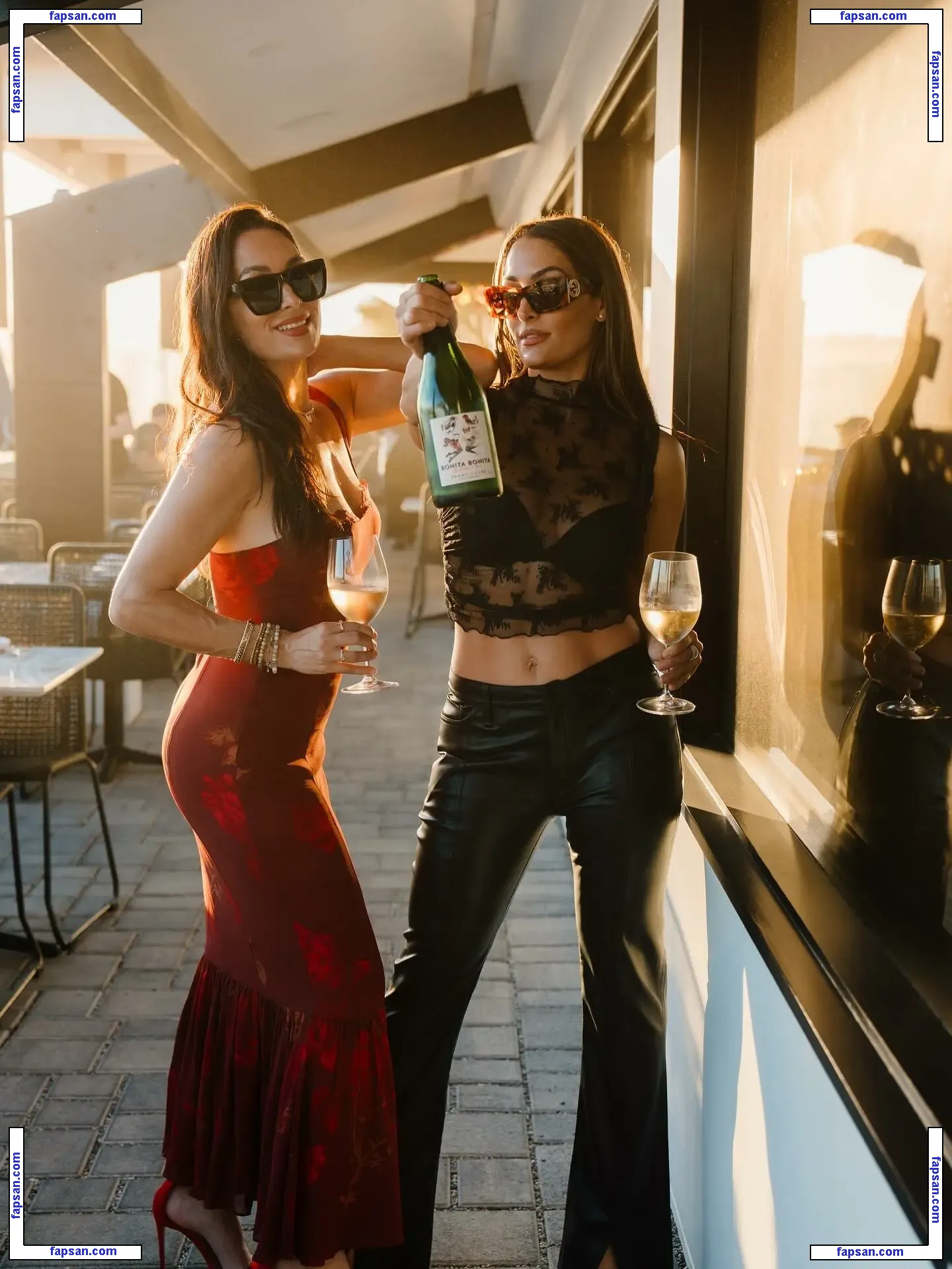 The Bella Twins: nude photo #0437 from OnlyFans