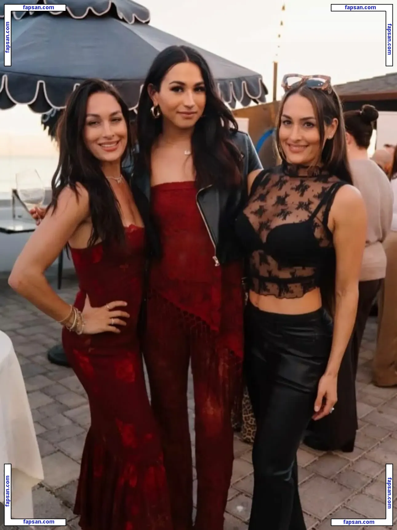 The Bella Twins: nude photo #0438 from OnlyFans