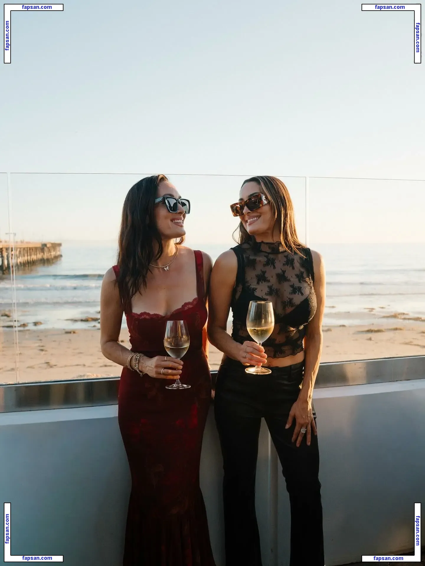 The Bella Twins: nude photo #0441 from OnlyFans