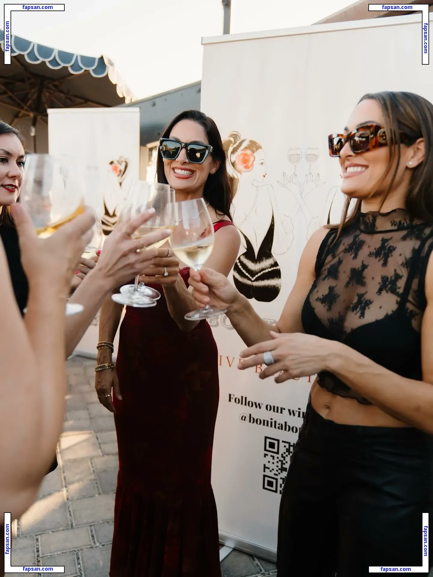 The Bella Twins: nude photo #0442 from OnlyFans