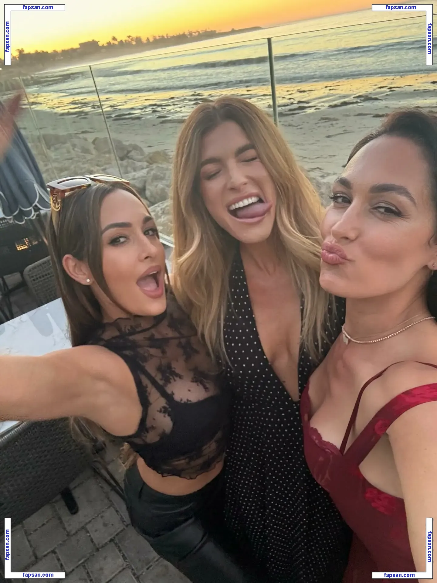 The Bella Twins: nude photo #0443 from OnlyFans