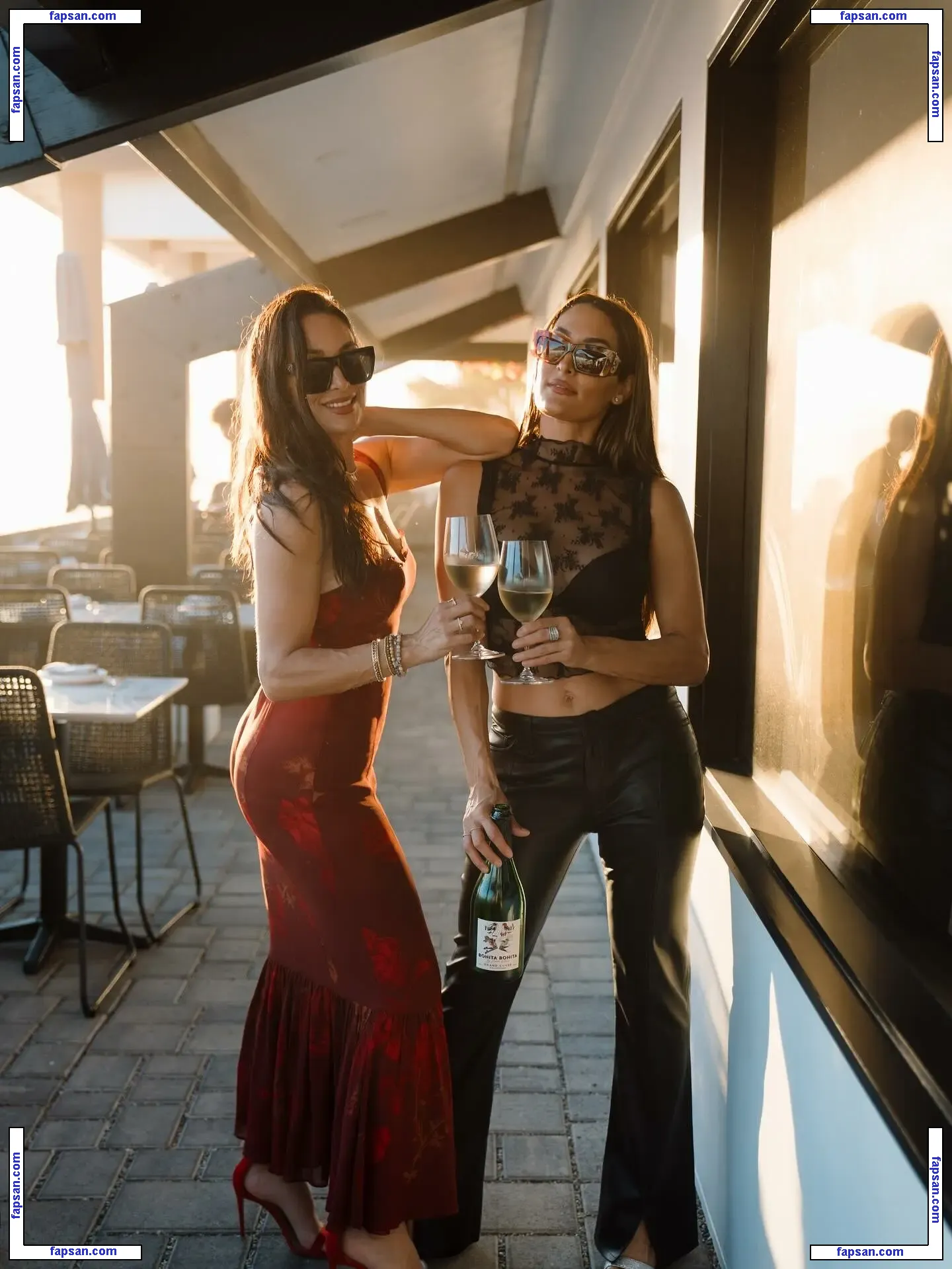 The Bella Twins: nude photo #0444 from OnlyFans