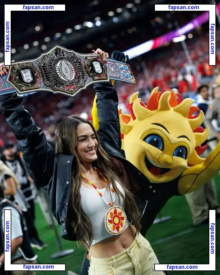 The Bella Twins: nude photo #0458 from OnlyFans