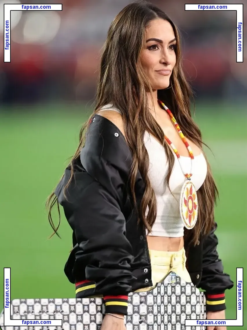 The Bella Twins: nude photo #0461 from OnlyFans