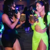 The Bella Twins: голая #0213