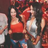 The Bella Twins: голая #0408