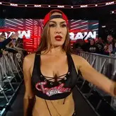 The Bella Twins: голая #0431