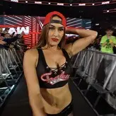 The Bella Twins: голая #0432