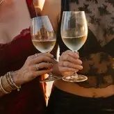 The Bella Twins: nude #0434