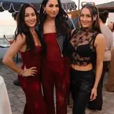 The Bella Twins: nude #0438