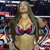 The Bella Twins: nude #0446