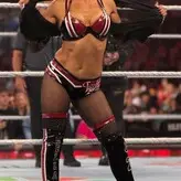 The Bella Twins: nude #0449