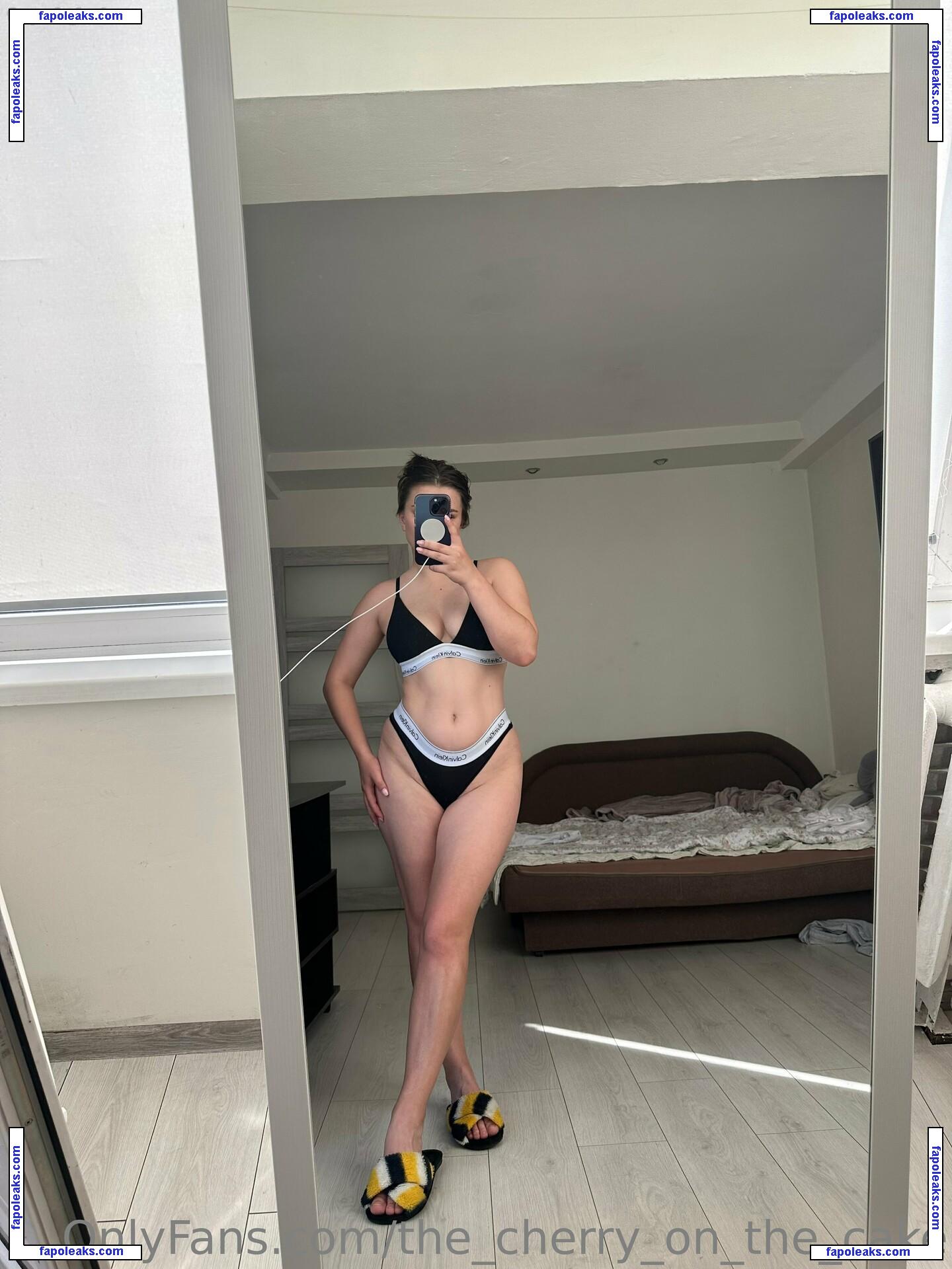 the_cherry_on_the_cake / thecherryonthecake5 nude photo #0045 from OnlyFans