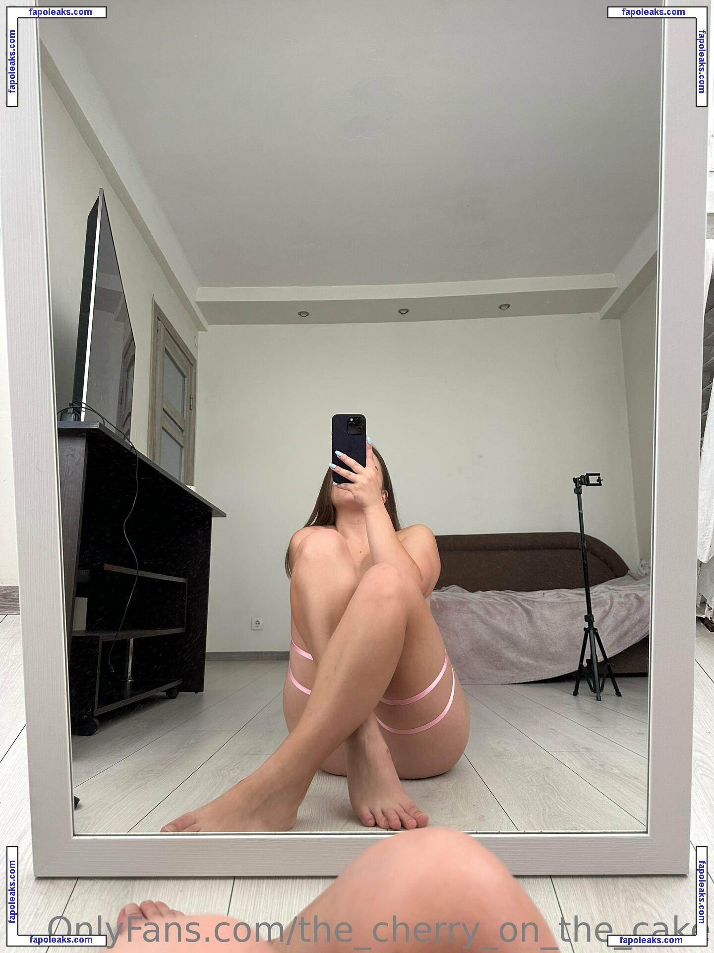 the_cherry_on_the_cake / thecherryonthecake5 nude photo #0060 from OnlyFans