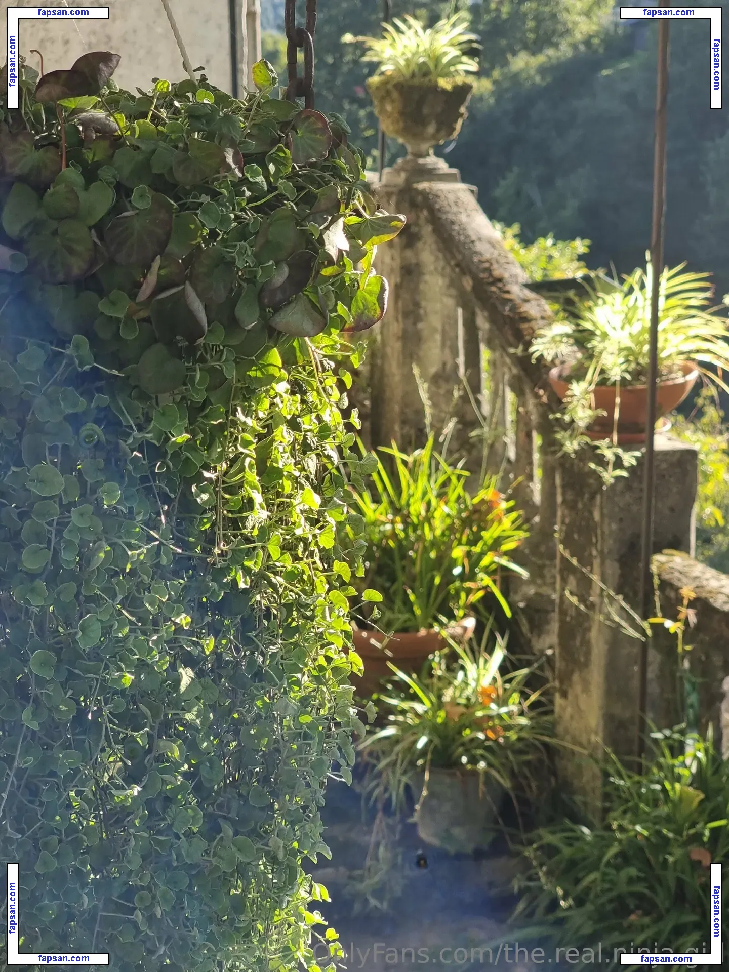 the.real.ninja.girl nude photo #0071 from OnlyFans