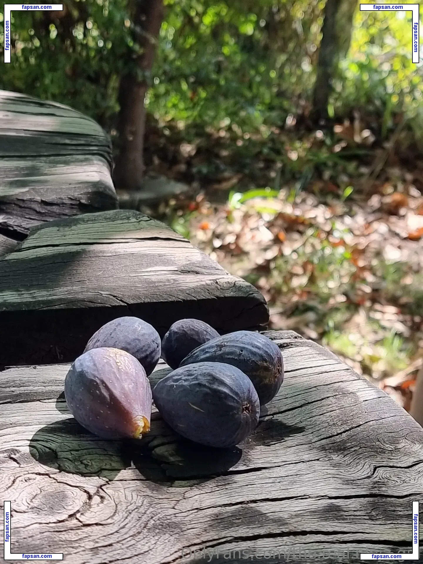 the.real.ninja.girl nude photo #0074 from OnlyFans