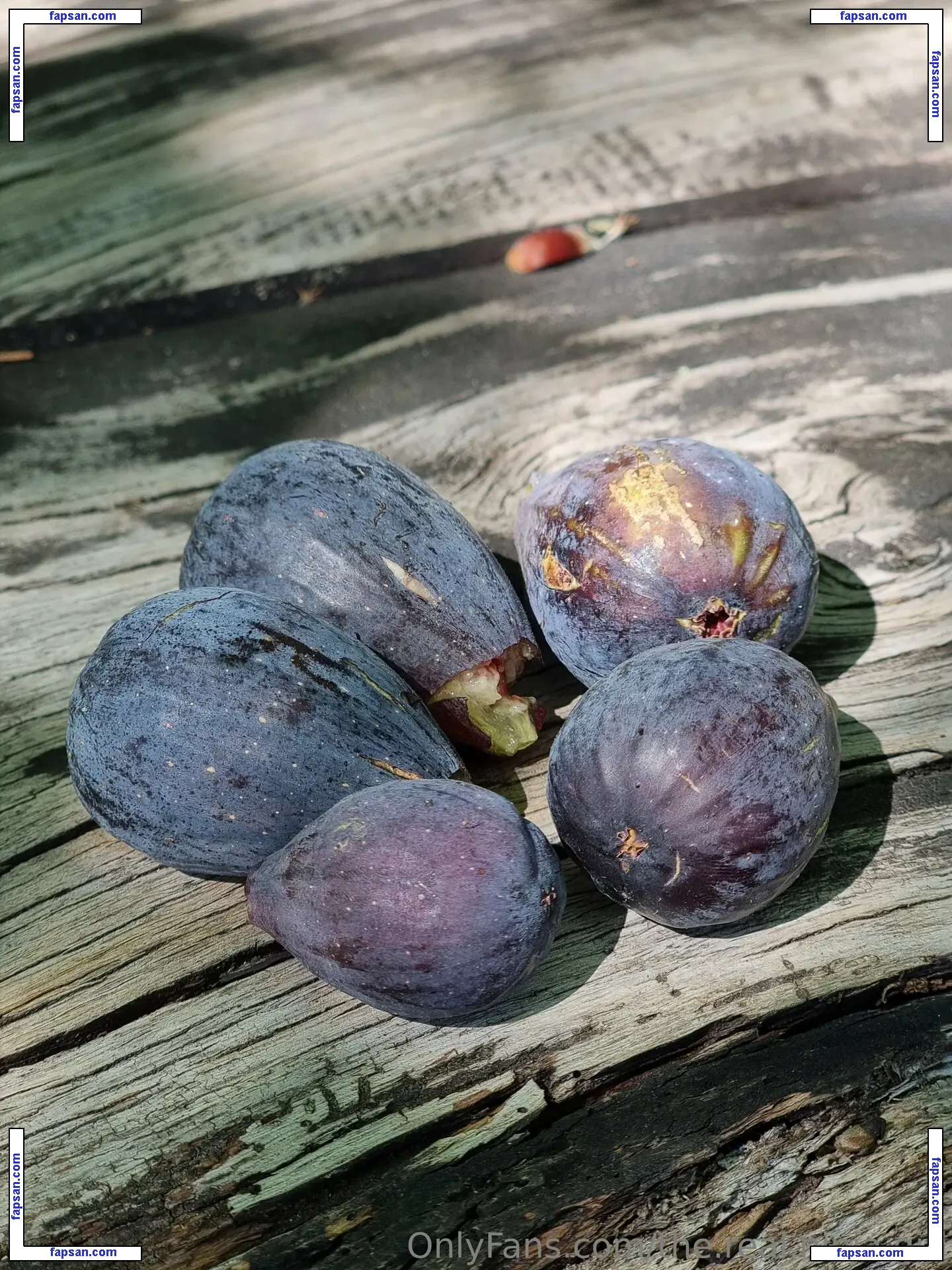 the.real.ninja.girl nude photo #0076 from OnlyFans