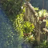 the.real.ninja.girl nude #0071