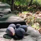 the.real.ninja.girl nude #0074