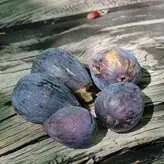 the.real.ninja.girl nude #0076