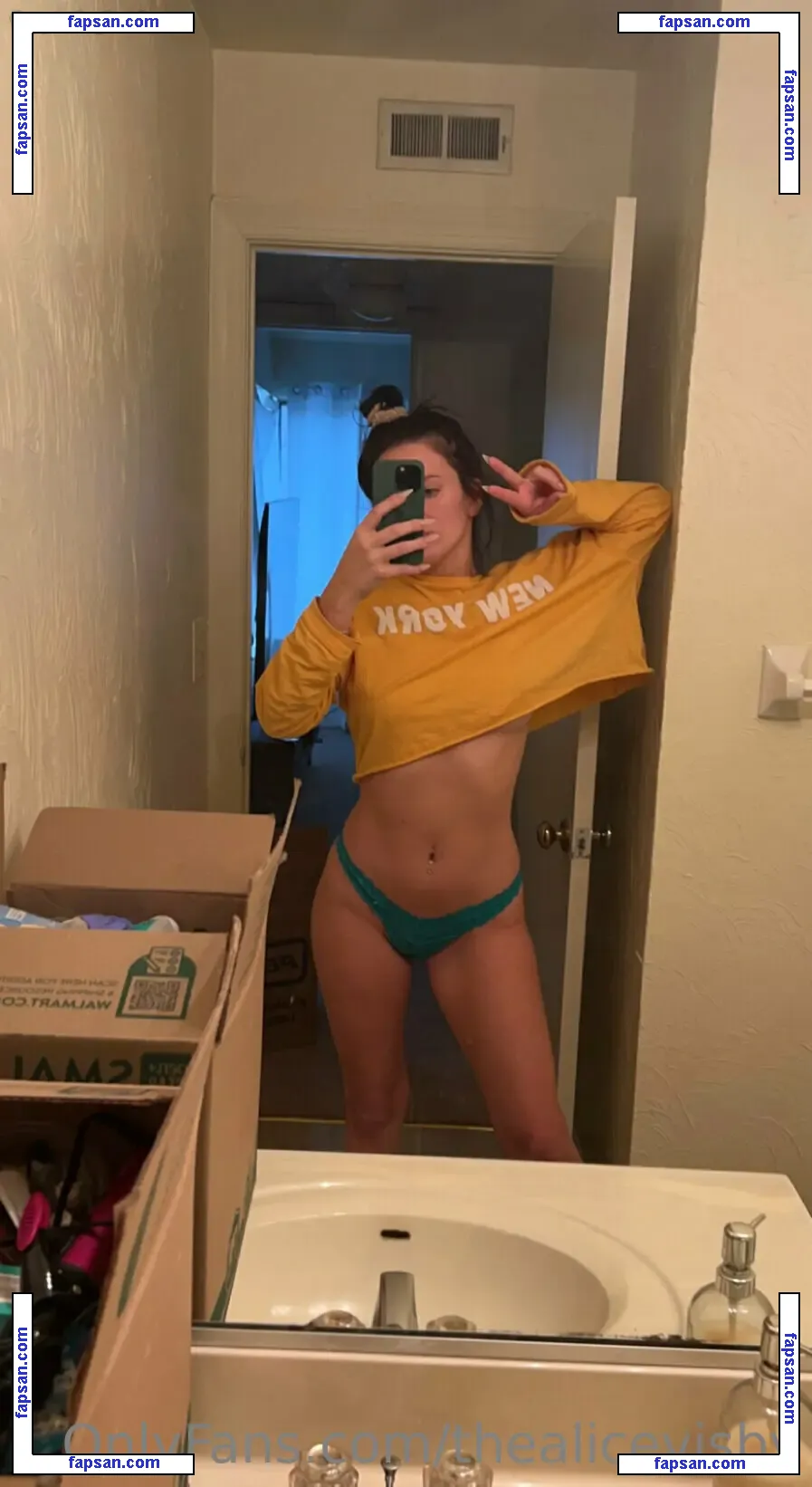 thealicevisby nude photo #0019 from OnlyFans