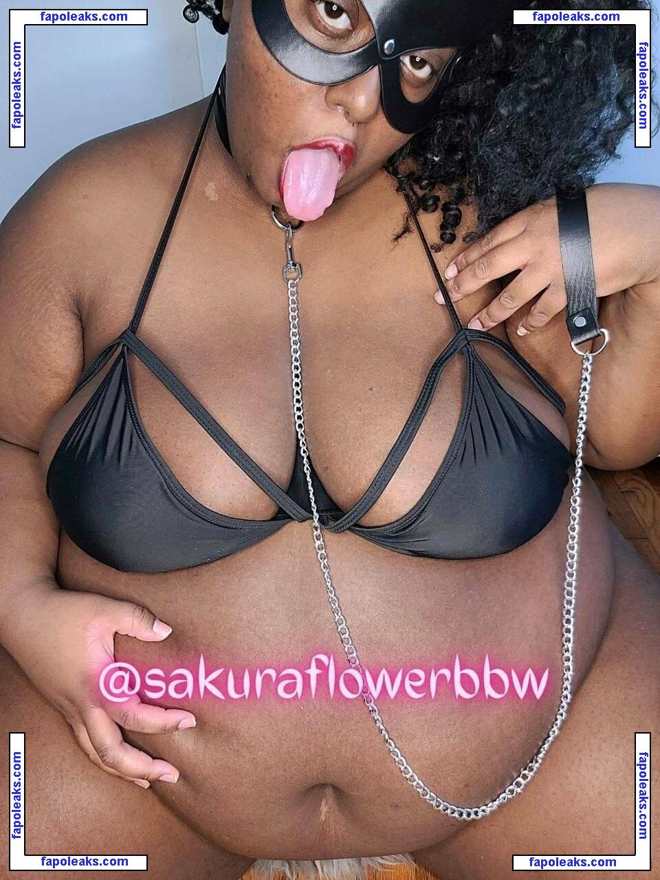 thebbwbible / thebbwbible_ nude photo #0021 from OnlyFans