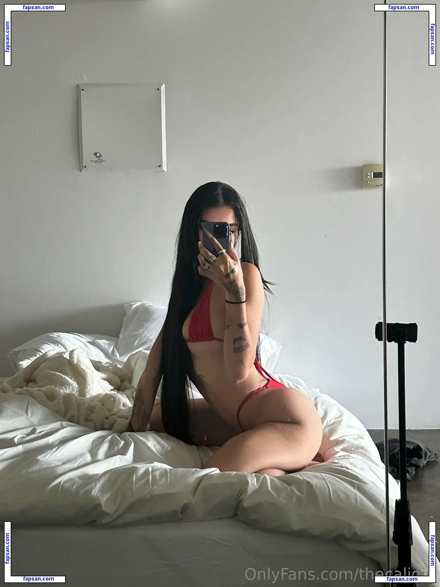 Thecaligirl nude photo #0687 from OnlyFans