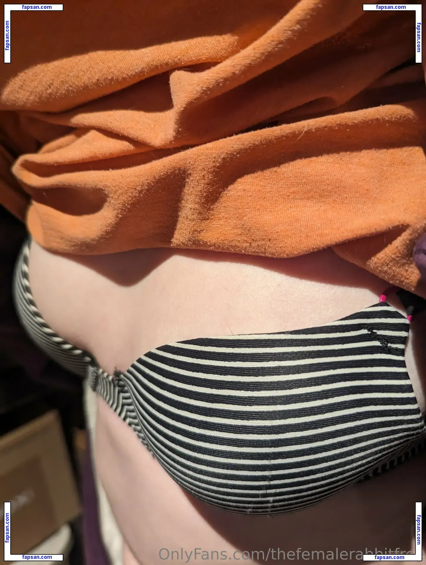 thefemalerabbitfree nude photo #0006 from OnlyFans