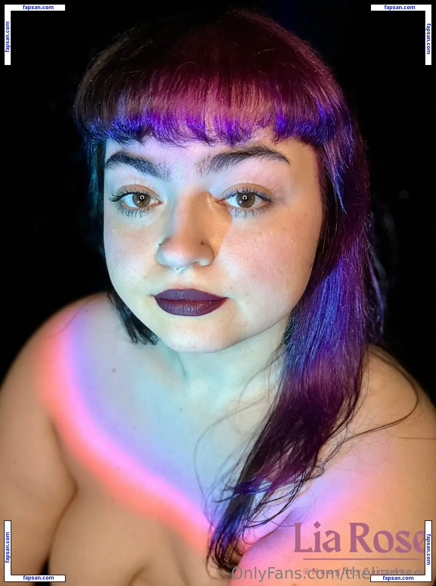 theliarosee nude photo #0017 from OnlyFans