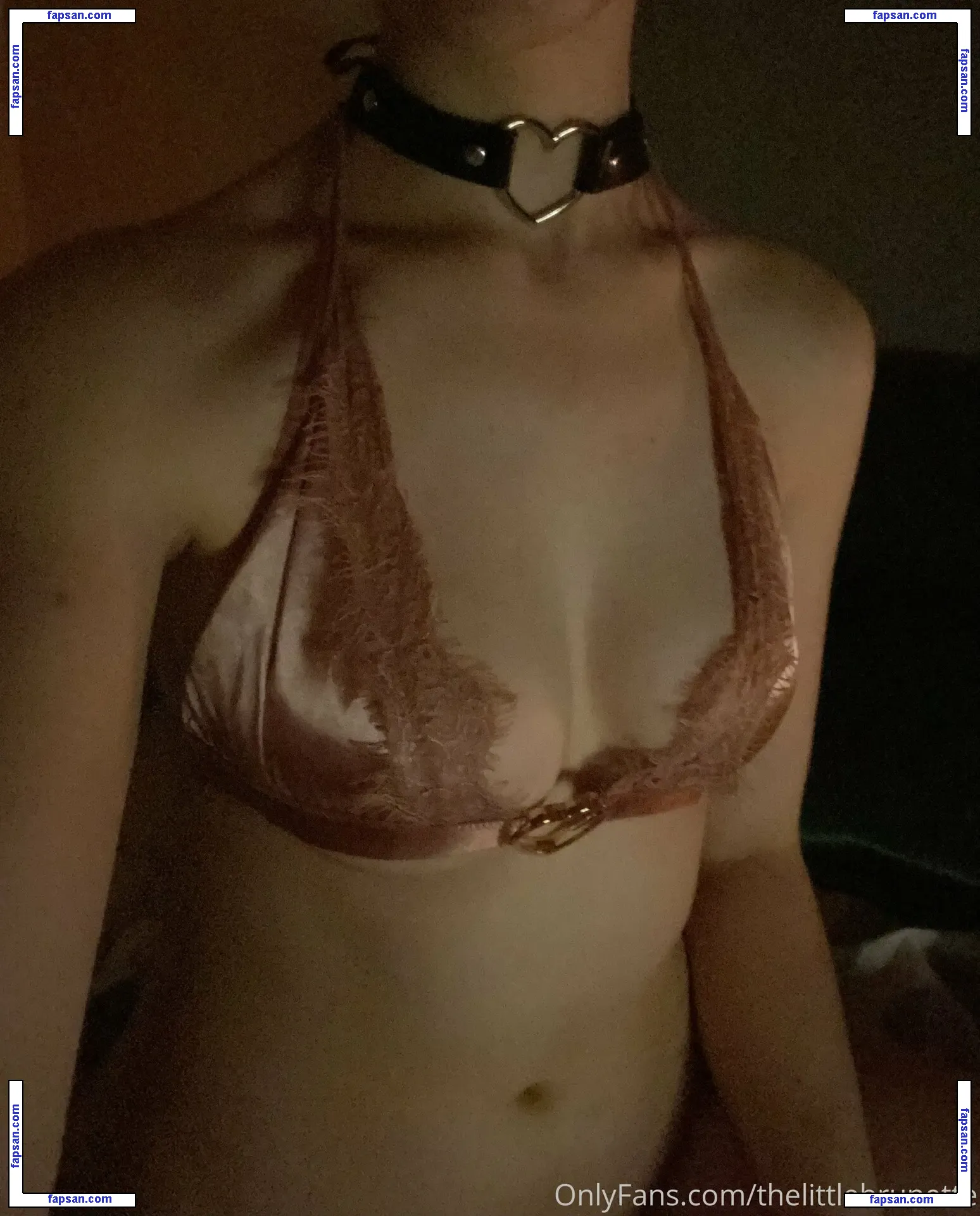 thelittlebrunette nude photo #0009 from OnlyFans