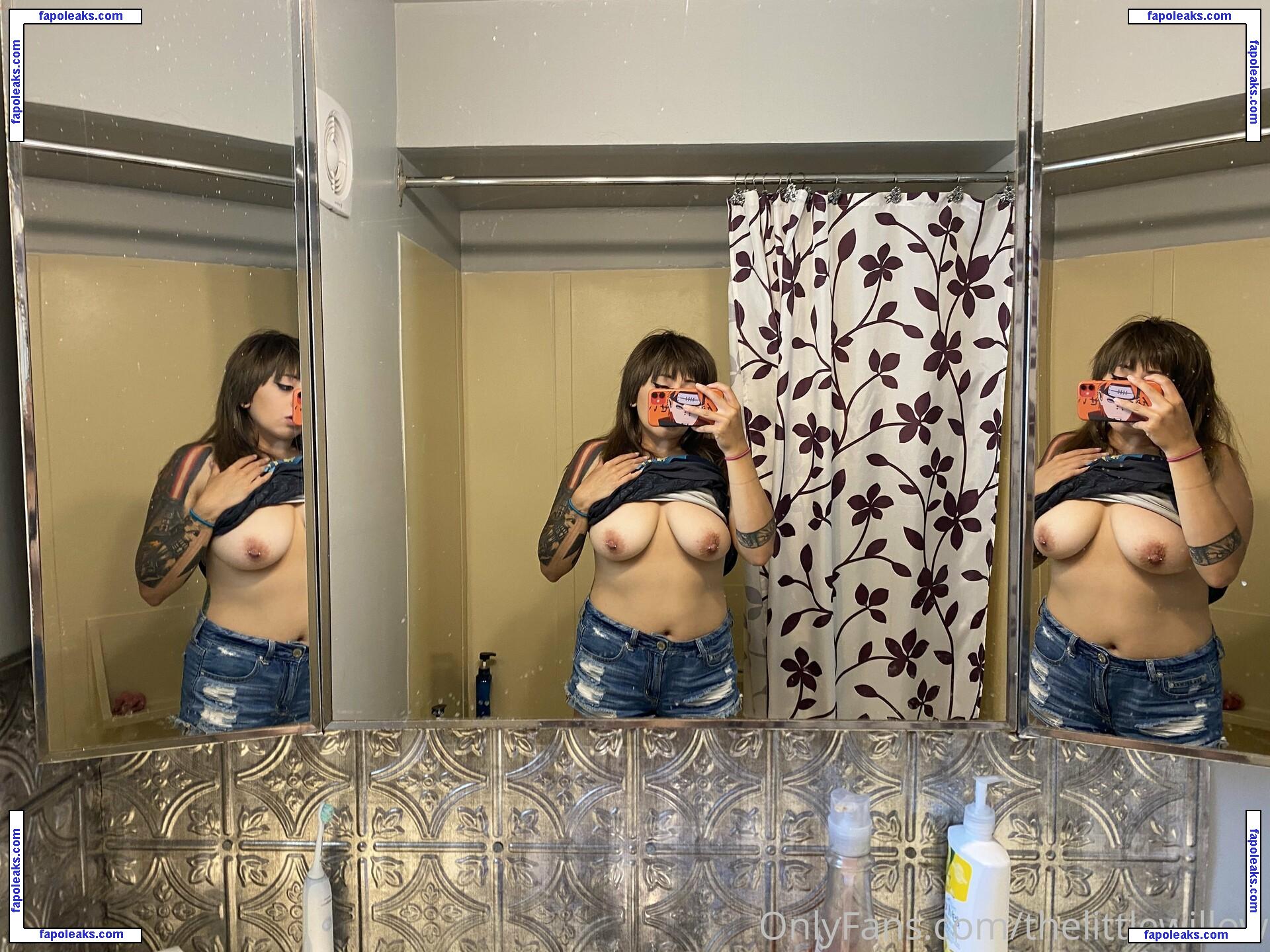 thelittlewillow / thelittlewillow_ nude photo #0024 from OnlyFans