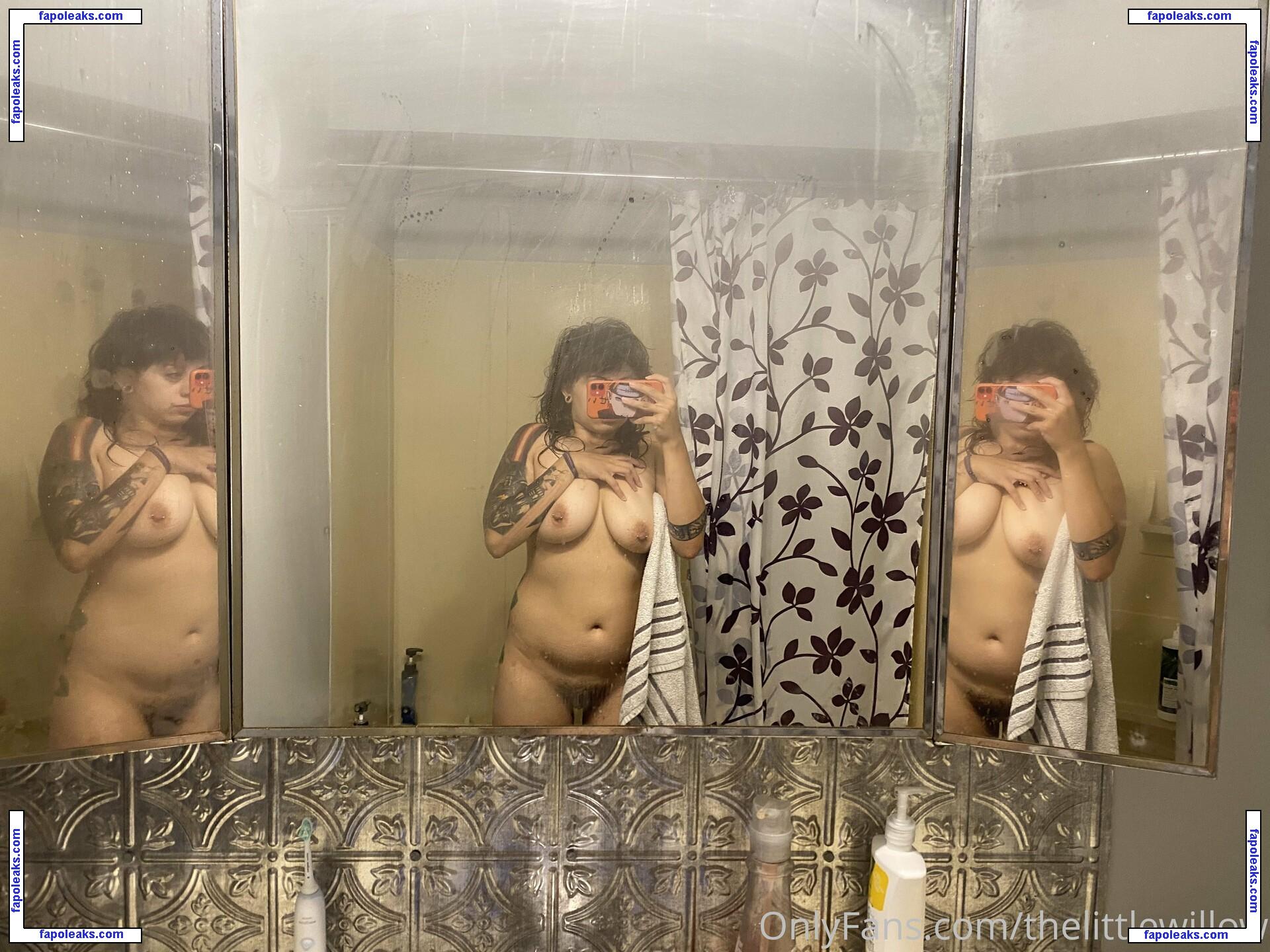 thelittlewillow / thelittlewillow_ nude photo #0027 from OnlyFans