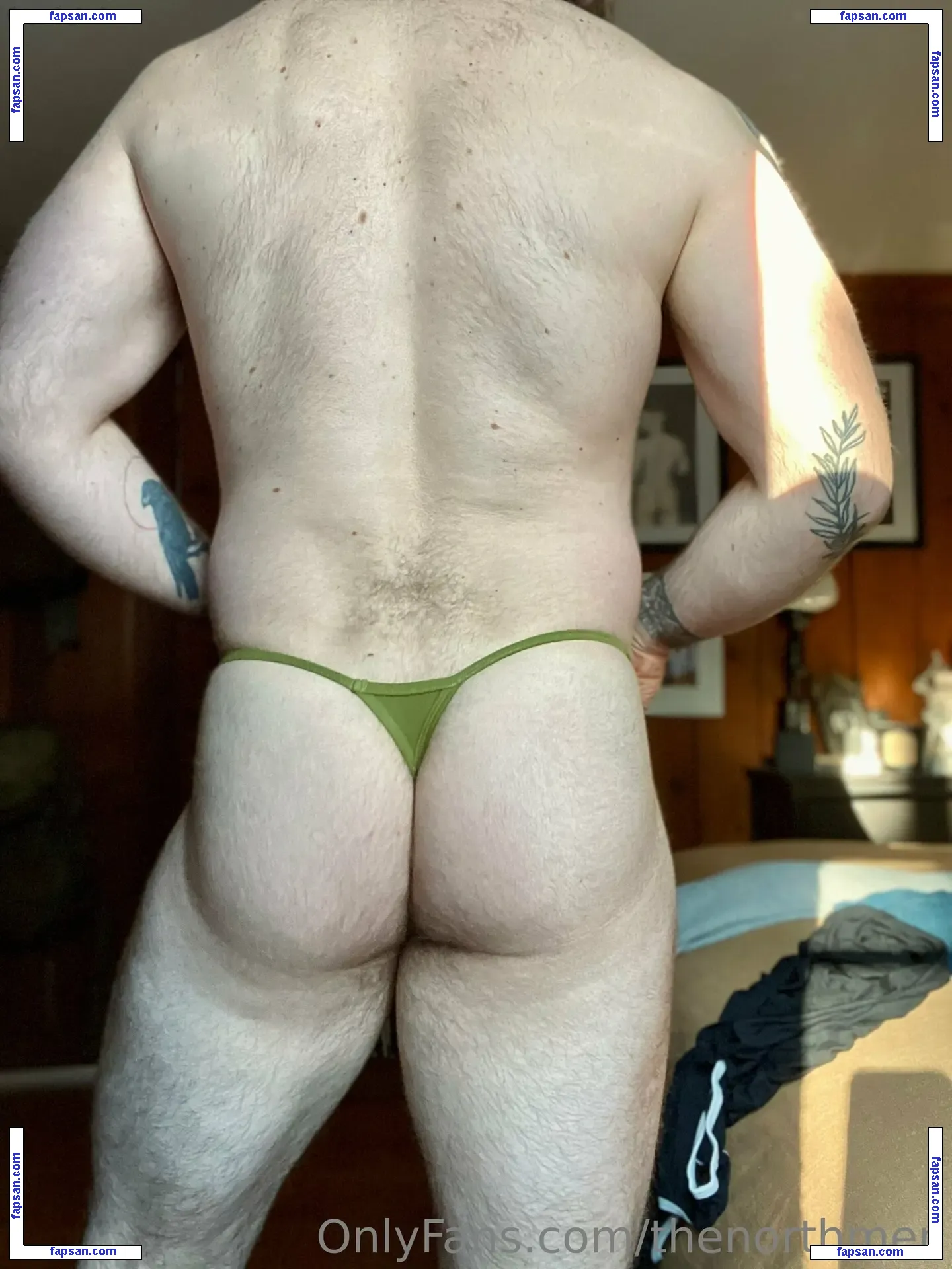thenorthmen nude photo #0006 from OnlyFans