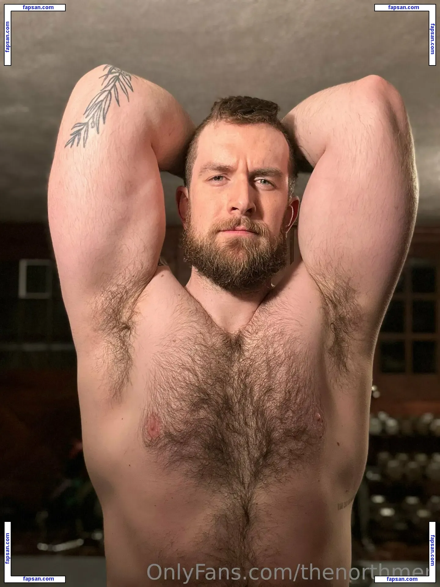 thenorthmen nude photo #0010 from OnlyFans