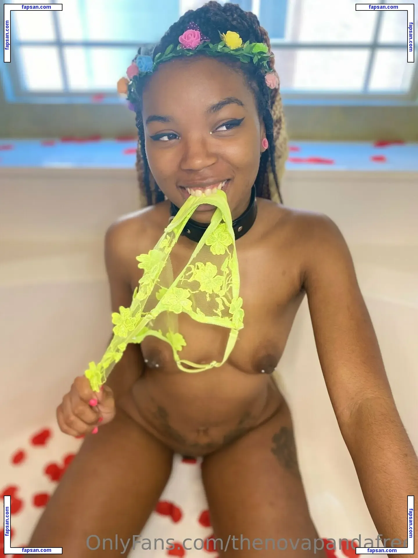 thenovapandafree nude photo #0056 from OnlyFans