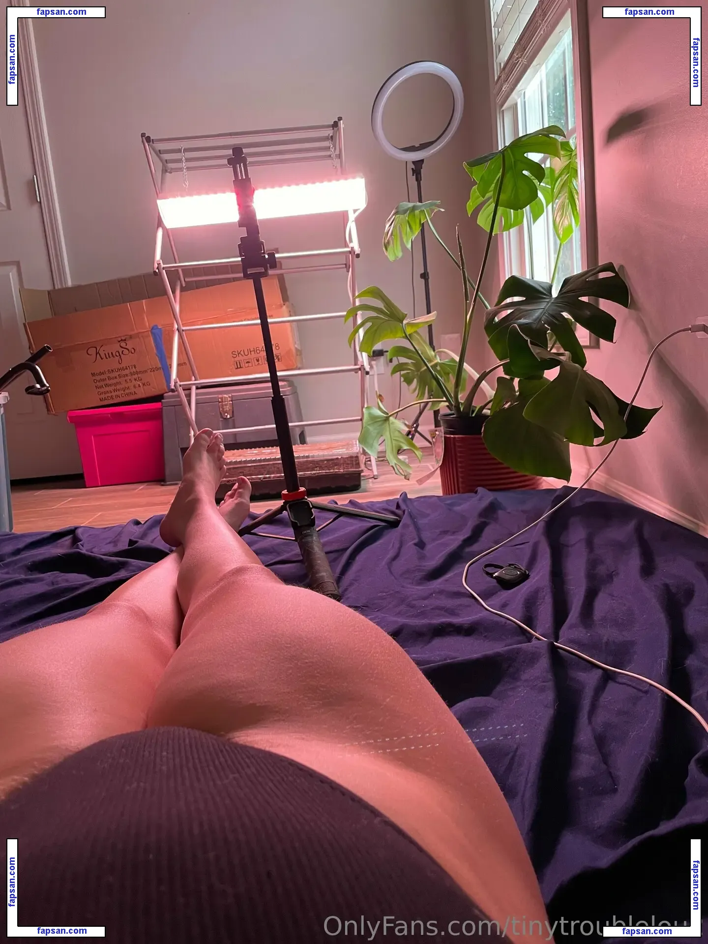 thenoxiefoxx nude photo #0026 from OnlyFans