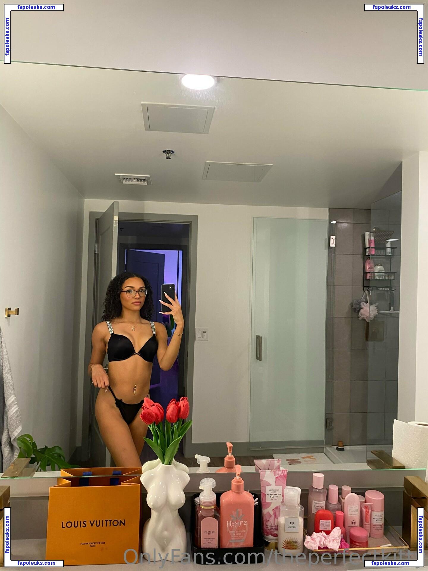 theperfectkitty nude photo #0010 from OnlyFans