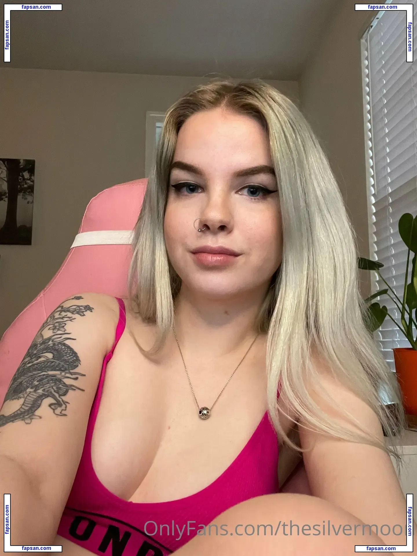 Thesilvermoon nude photo #0258 from OnlyFans