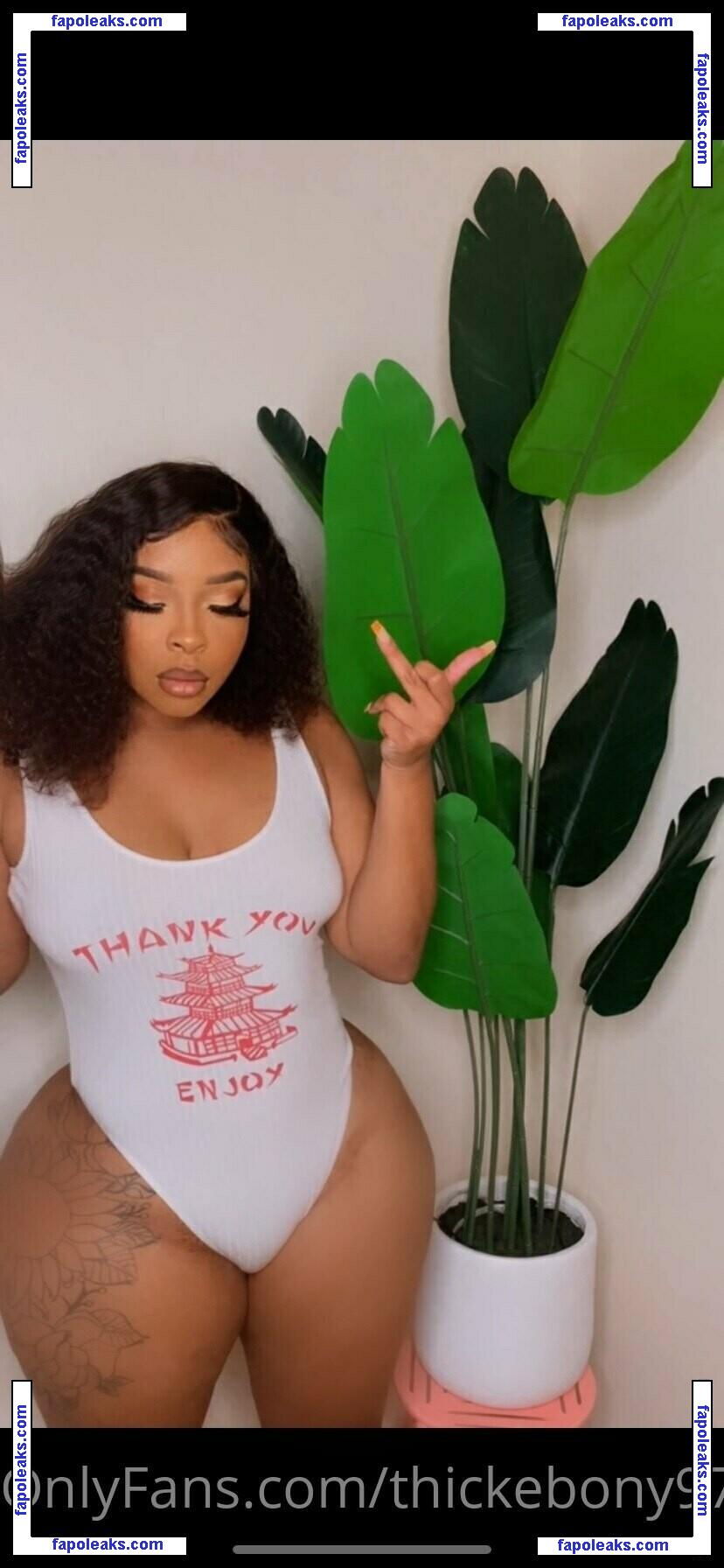 thickebony97 / skynoire nude photo #0008 from OnlyFans
