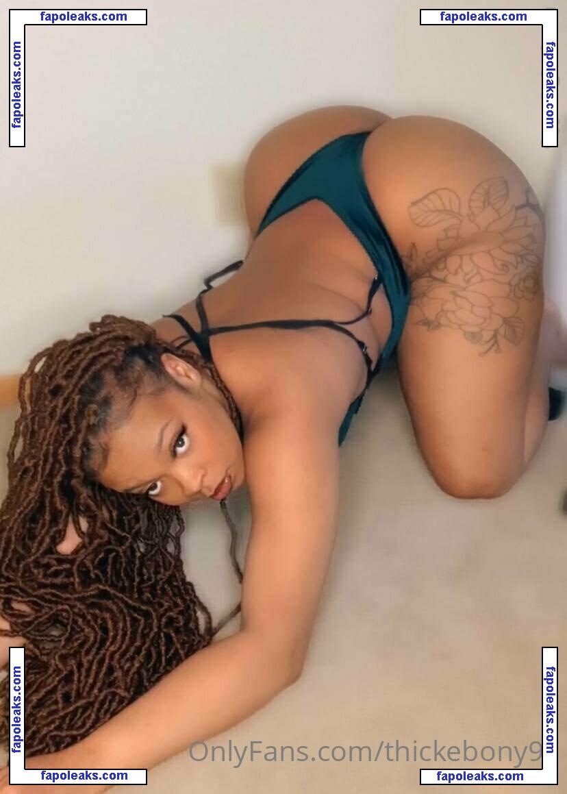 thickebony97 / skynoire nude photo #0013 from OnlyFans