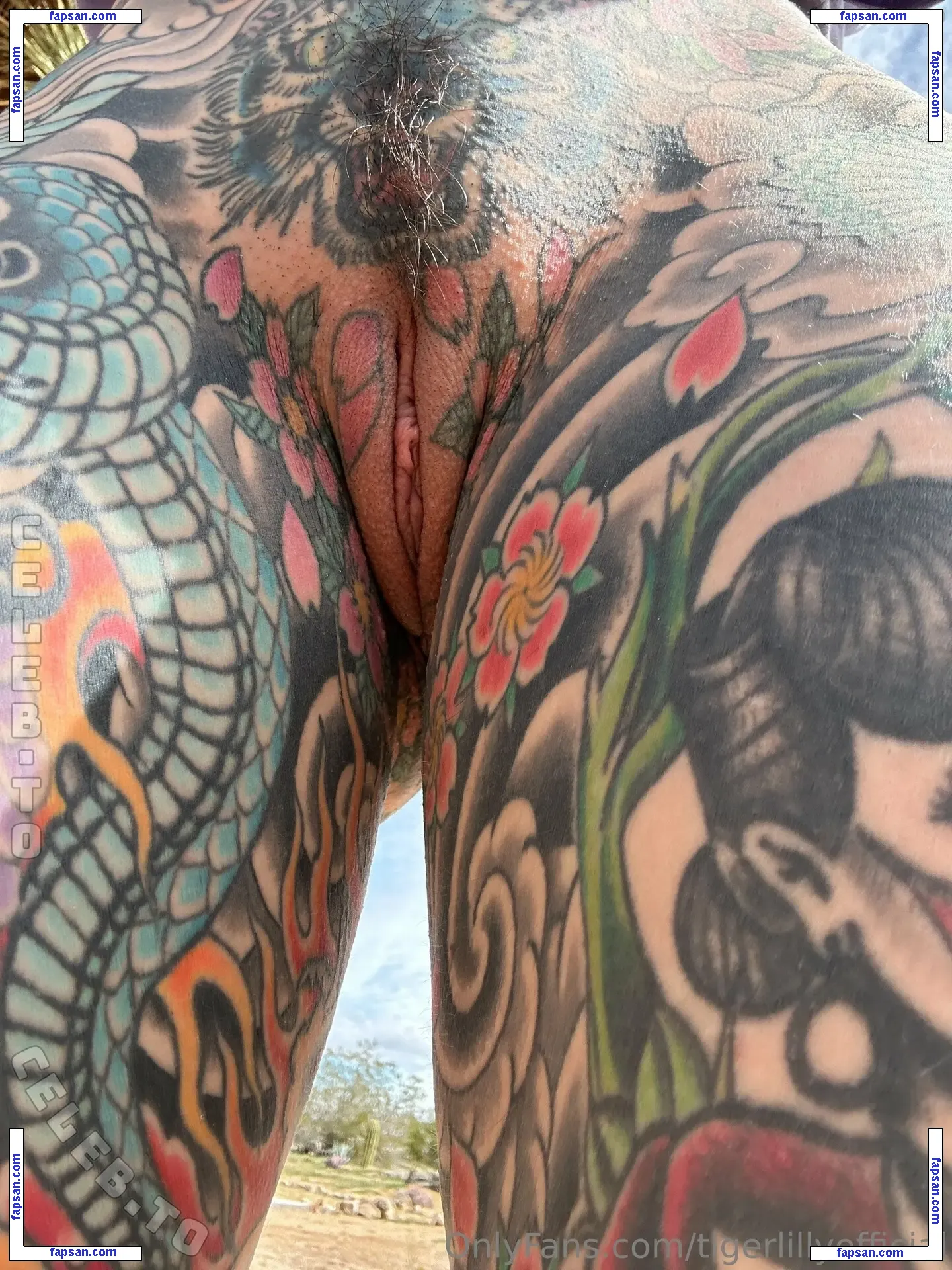 Tiger Lilly голая фото #0026 с Онлифанс